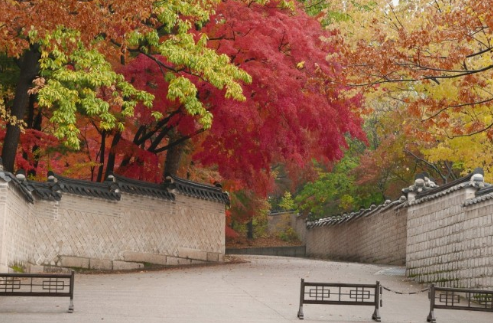 서울 고궁 이번 가을 꼭 가봐야할 BEST 4