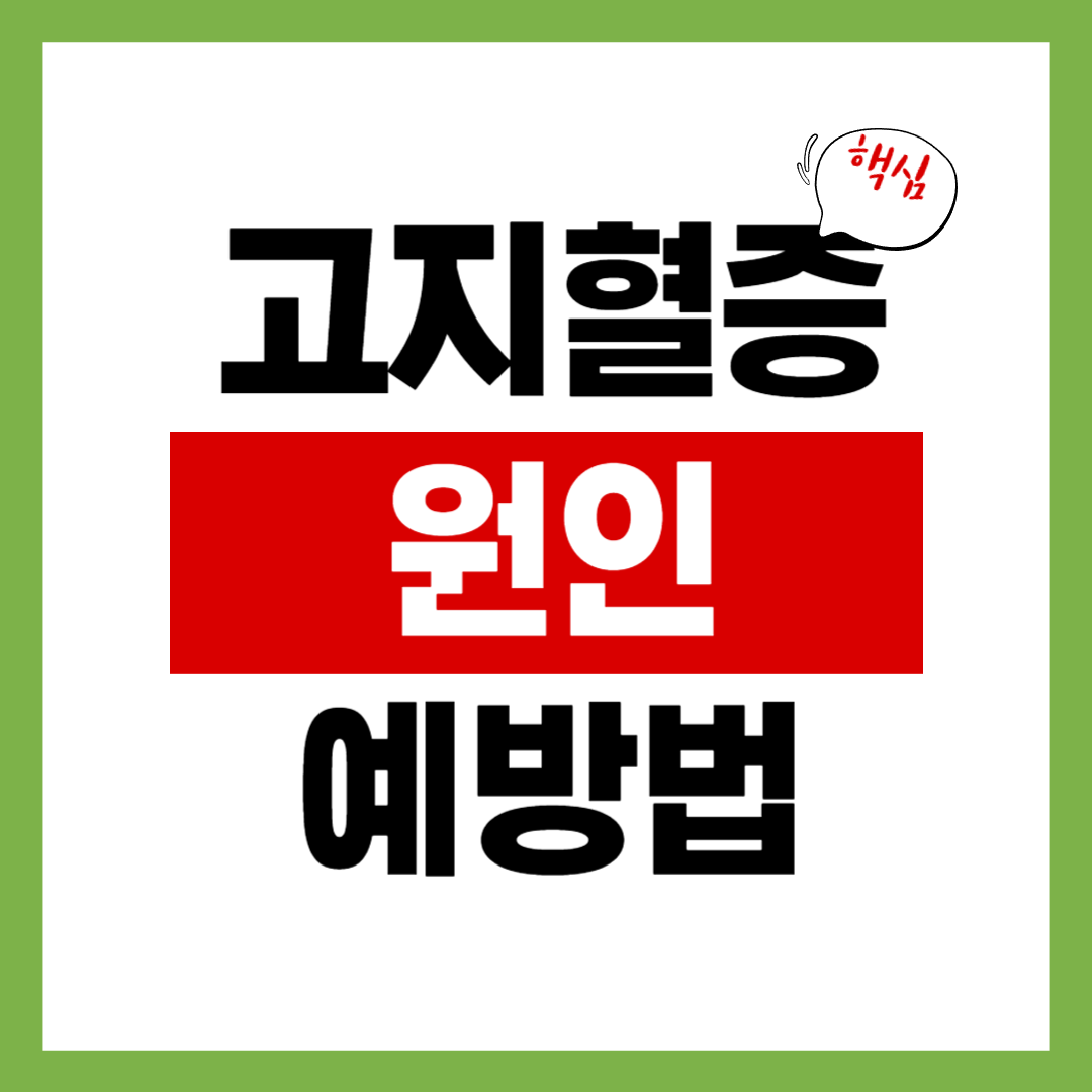 고지혈증 원인과 예방법