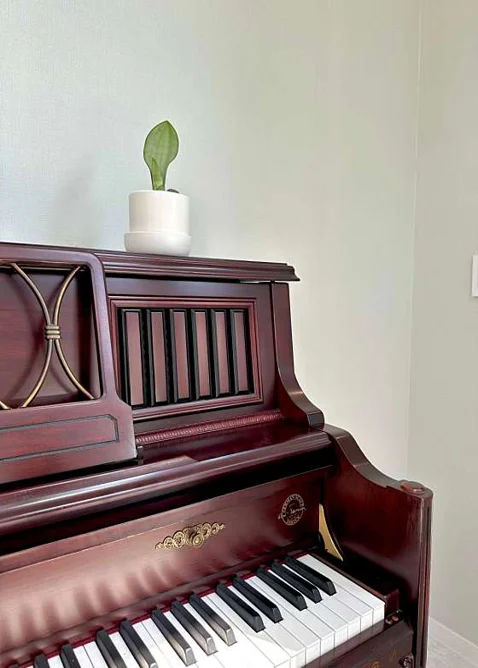 아네농음악학원