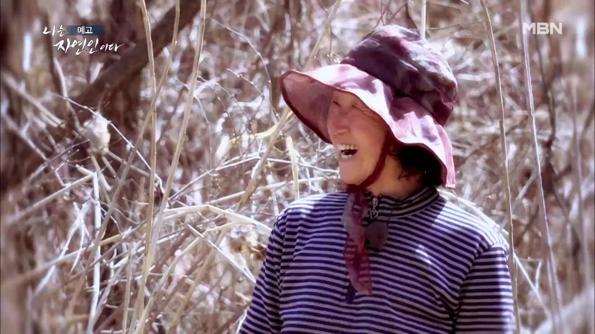 나는 자연인이다 100년 집 머위꽃 튀김 달래무침 개복숭아 고추장 황태 북어 구이 고립무원의 자유 자연인 서옥선 소개 및 윤택 출연 549회 다시보기