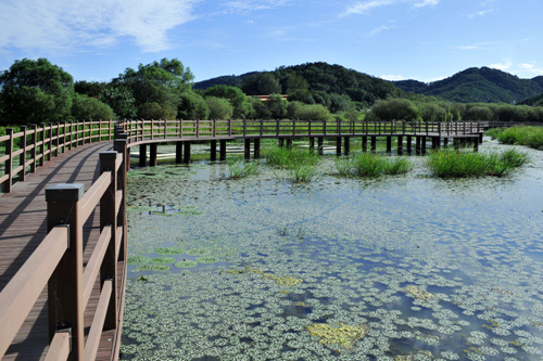 정양늪-생태공원