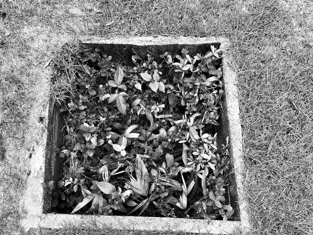 Grave cleaning