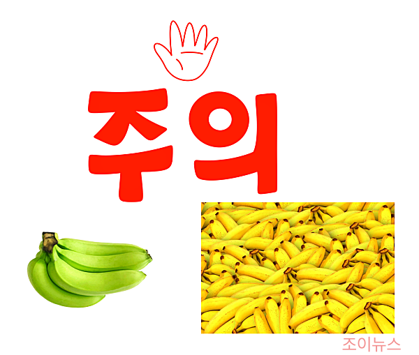 바나나 섭취 시 주의사항