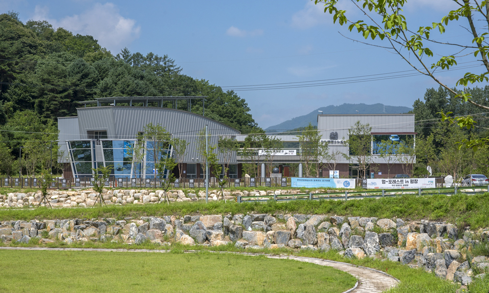 평창 가볼만한곳