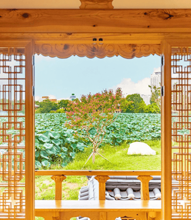 전주 덕진공원 연꽃3