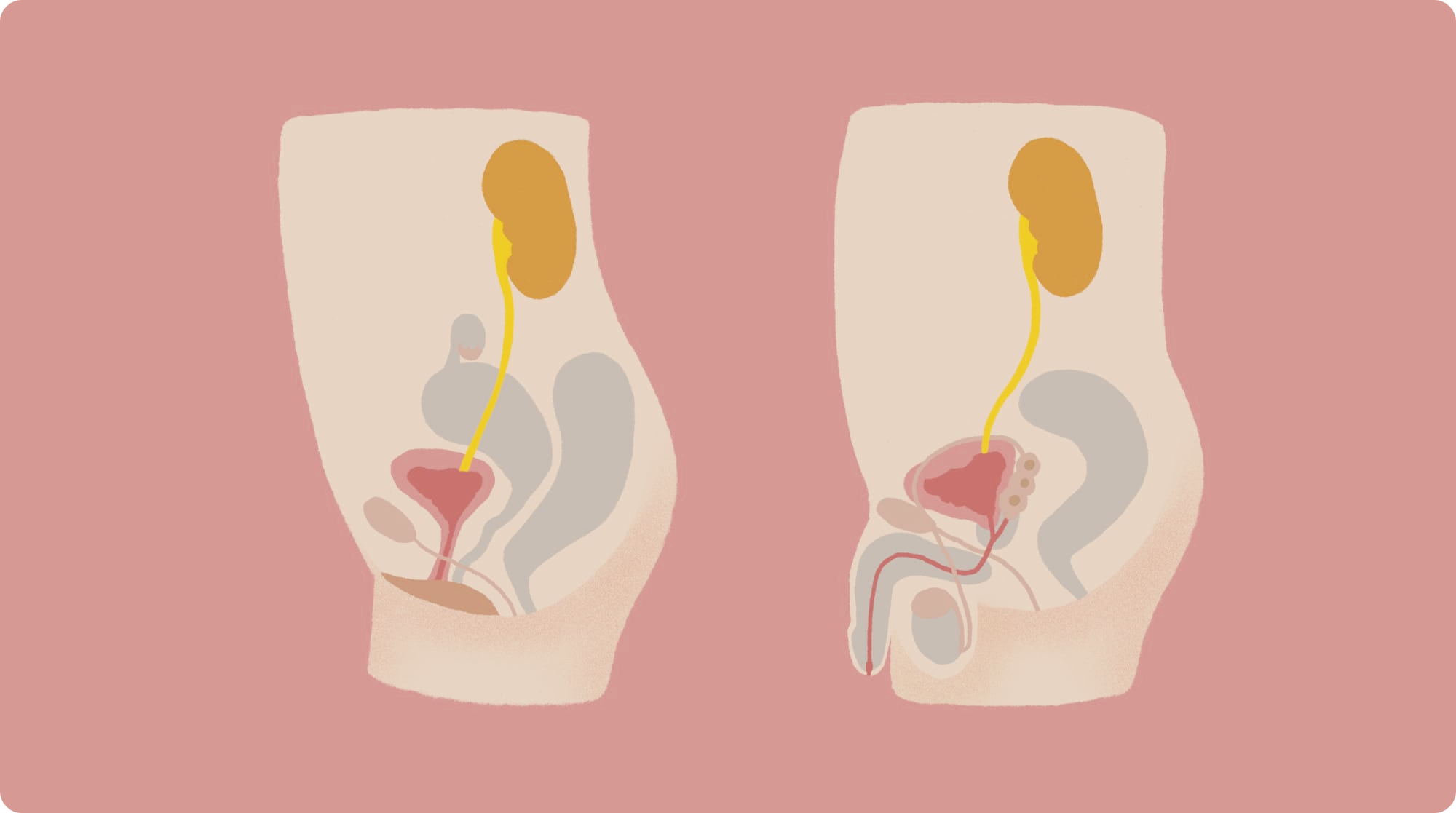 소변이-자주-마려운-증상