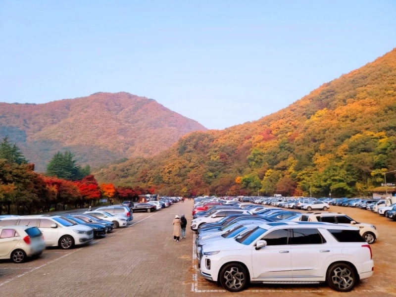 내장산 국립공원 주차장