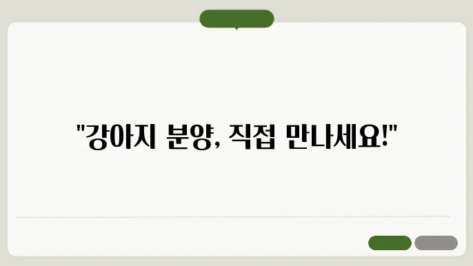 강아지분양애쫁갌가하