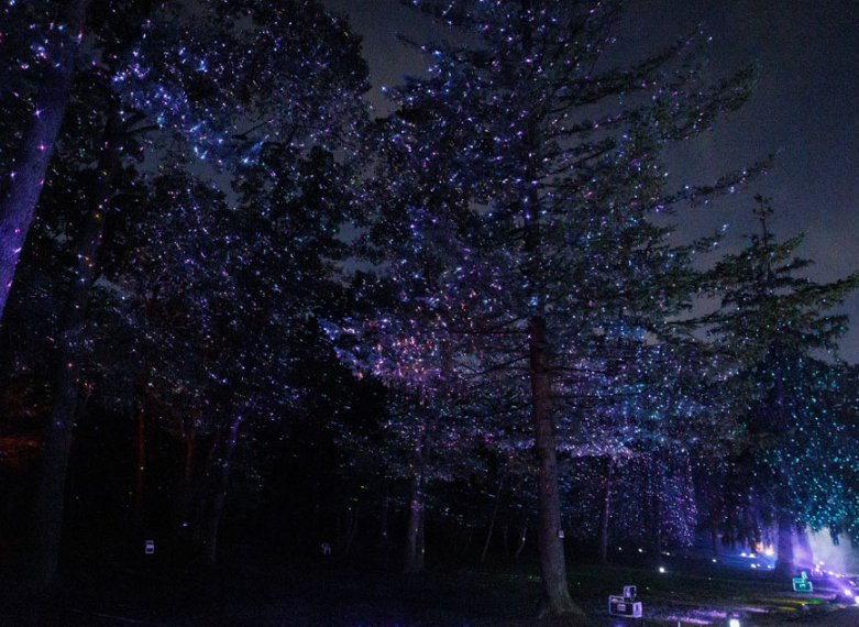 관련 궁중행사 포스터 사진