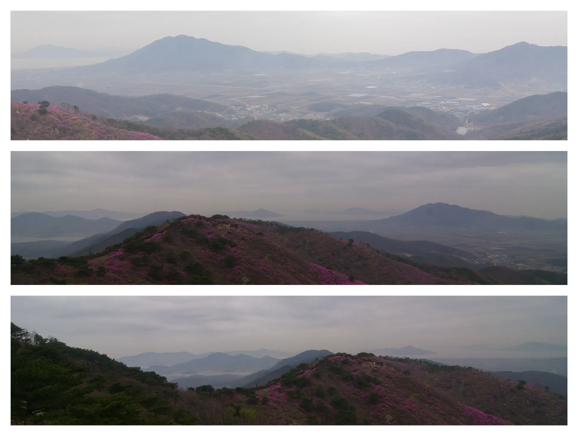 봄 고려산
