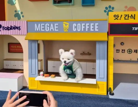 단양-겨울놀이-축제-일정-제휴-할인-주변-먹거리-음식점