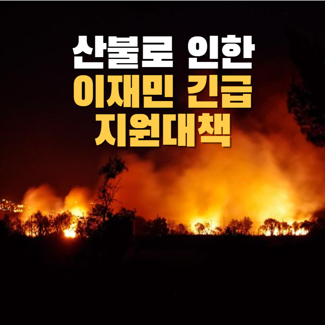 산불로 인한 이재민 지원 대책