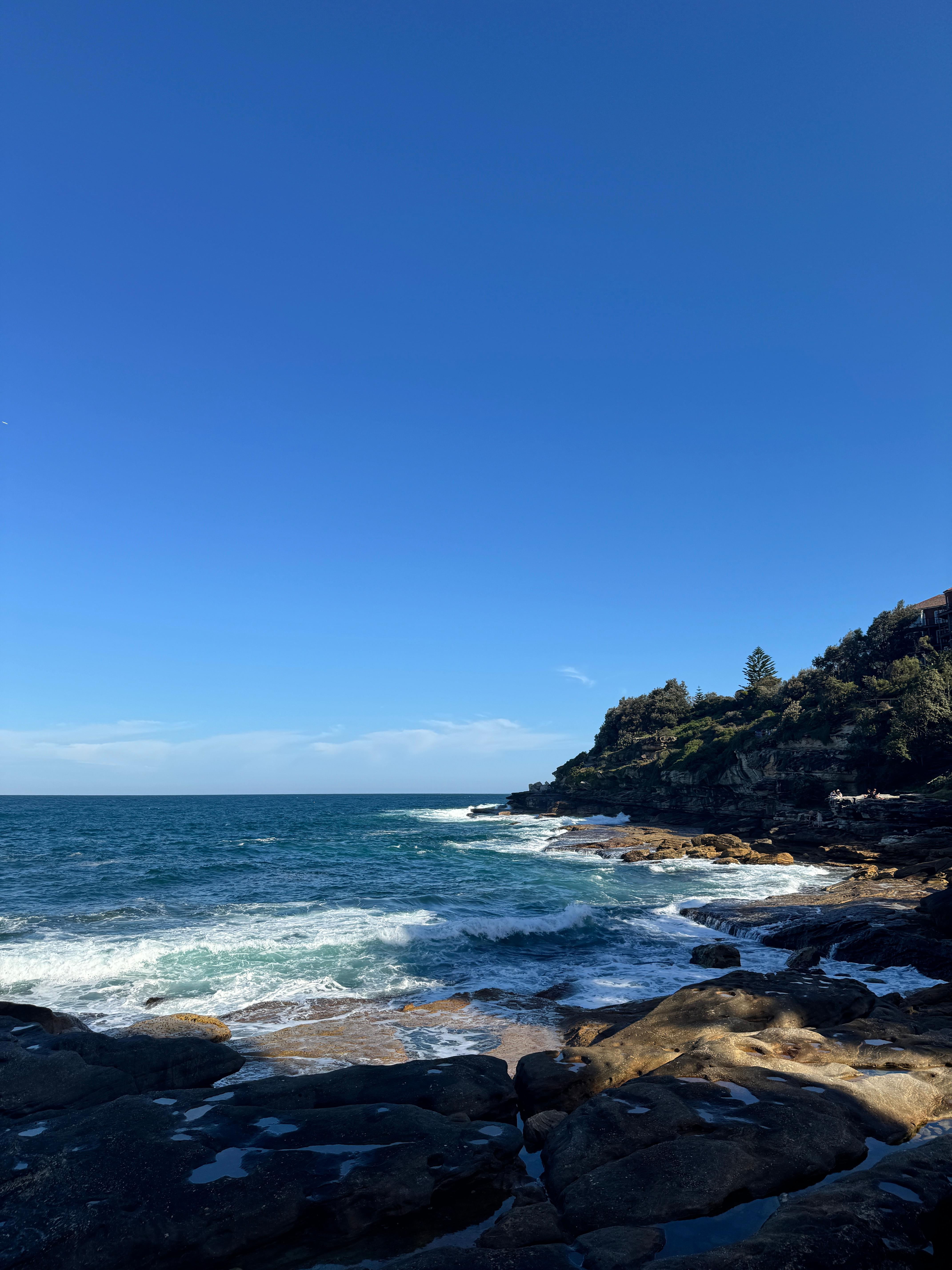 본다이비치 코스탈워크