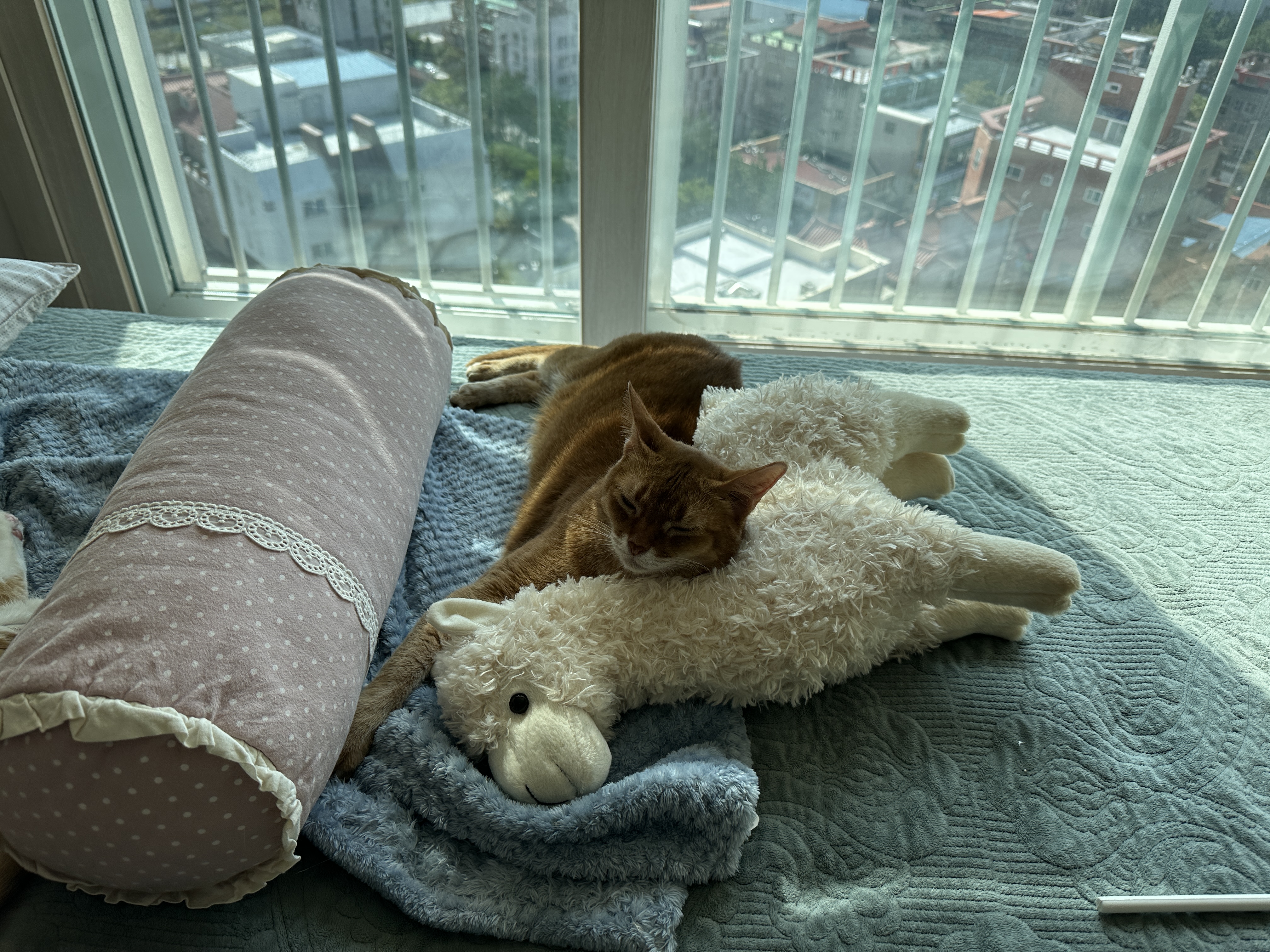 라마_인형에_기대서_누워_있는_루나