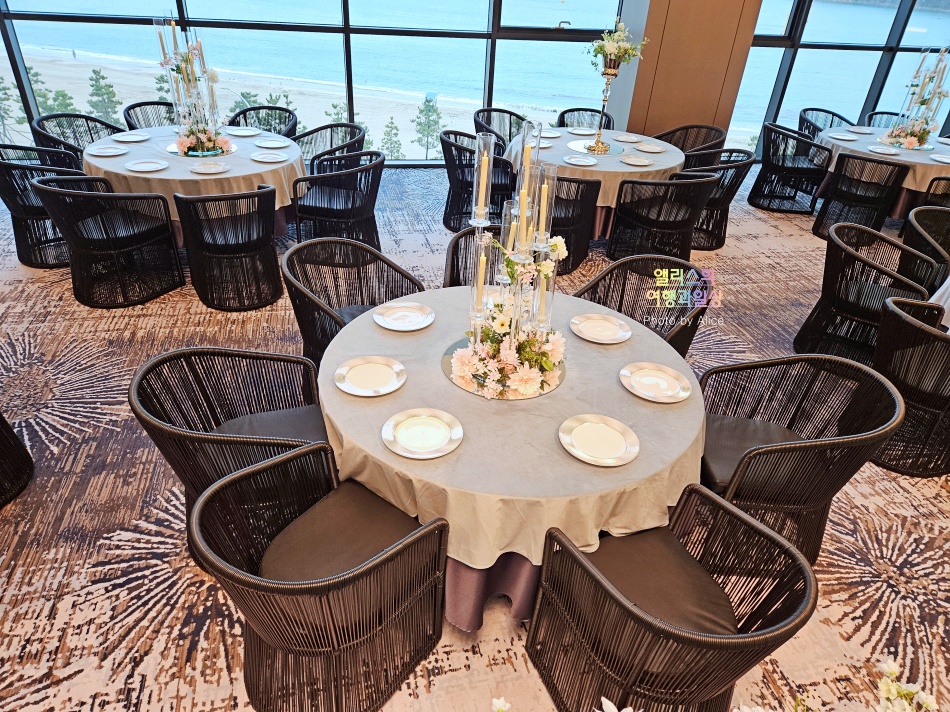 울산 오션뷰 웨딩홀 결혼식장 투어 타니베이 호텔 & 웨딩 예식장 + 뷔페 후기