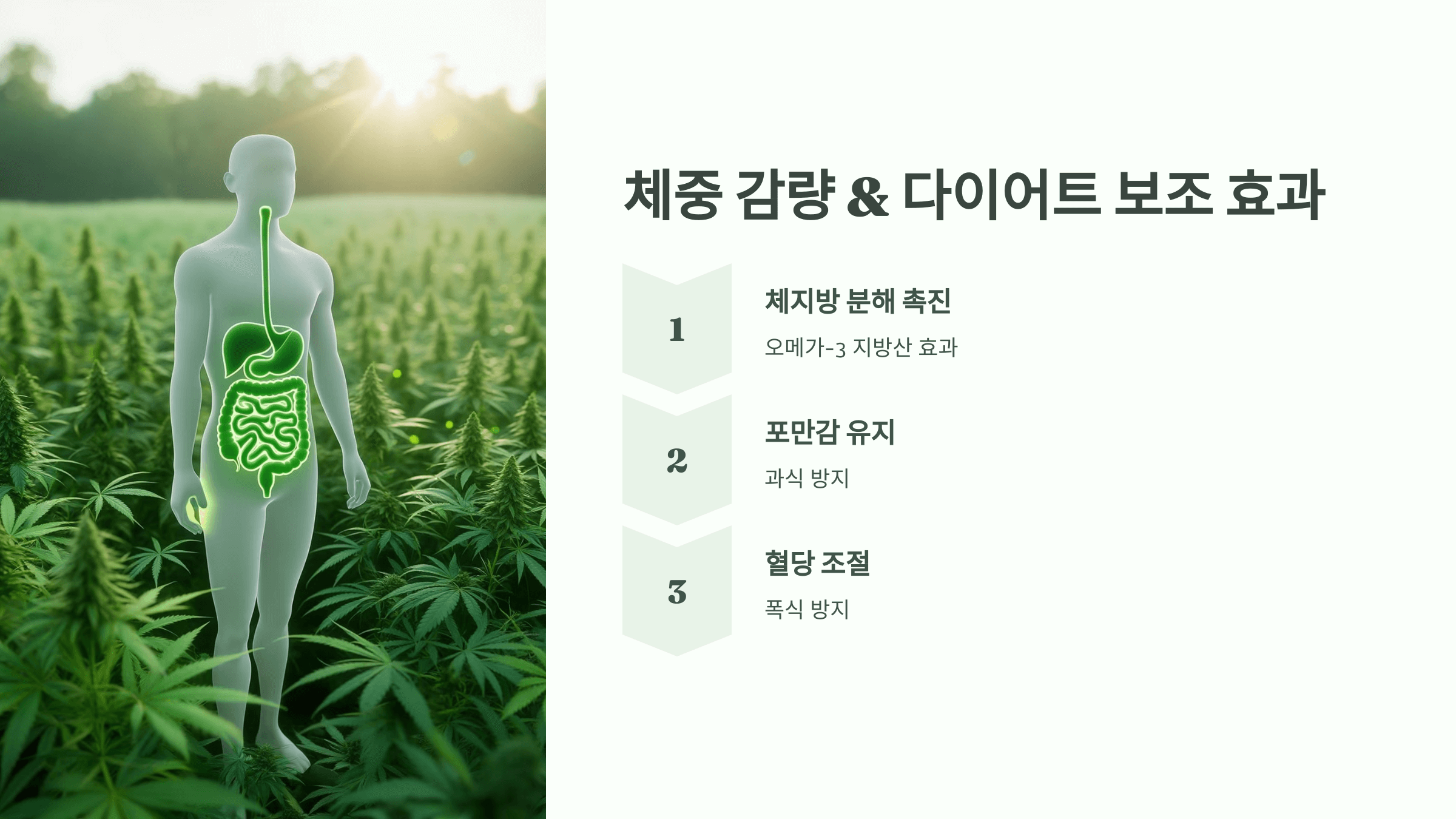 대마종자유 사진입니다.