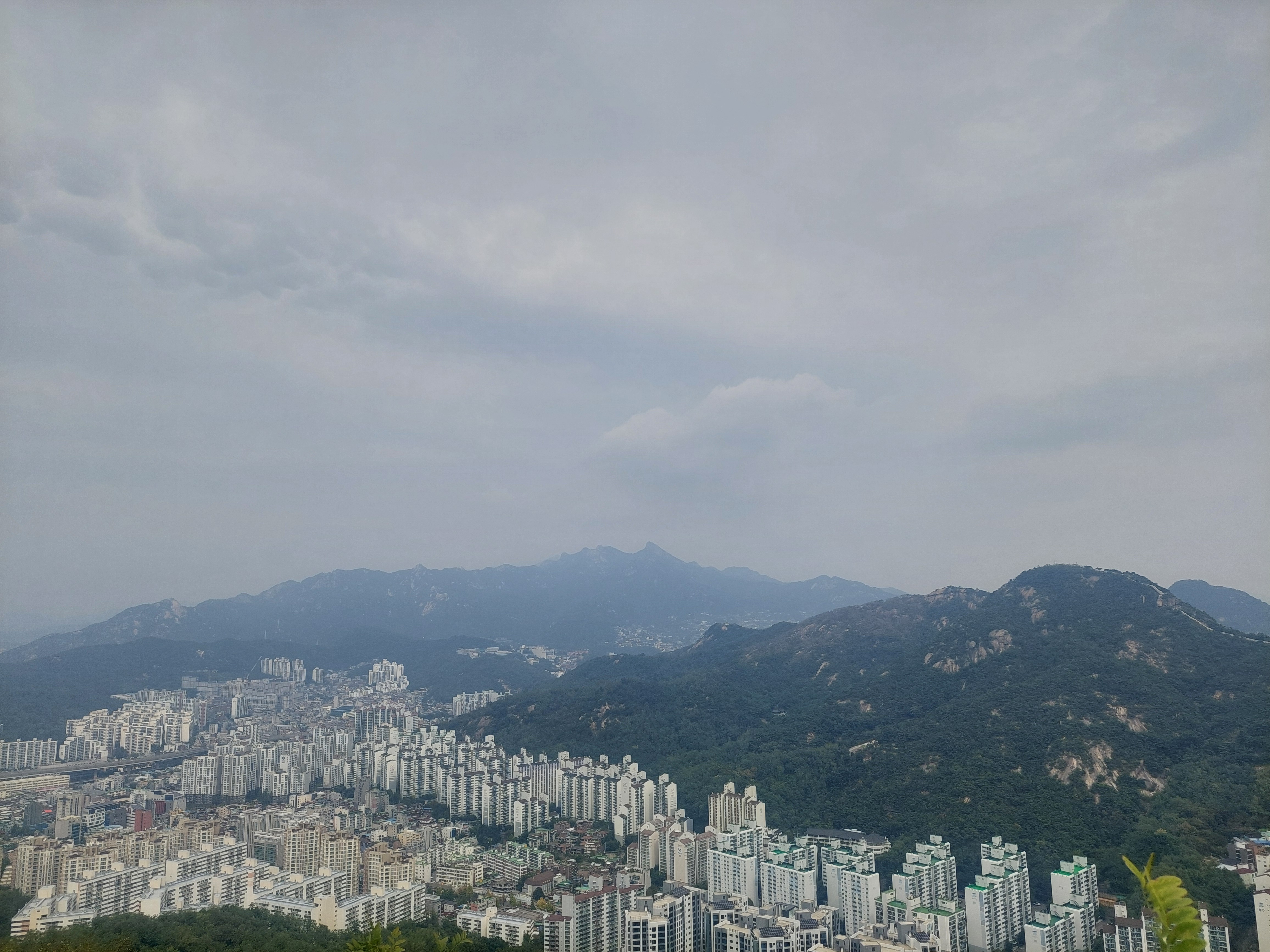 안산