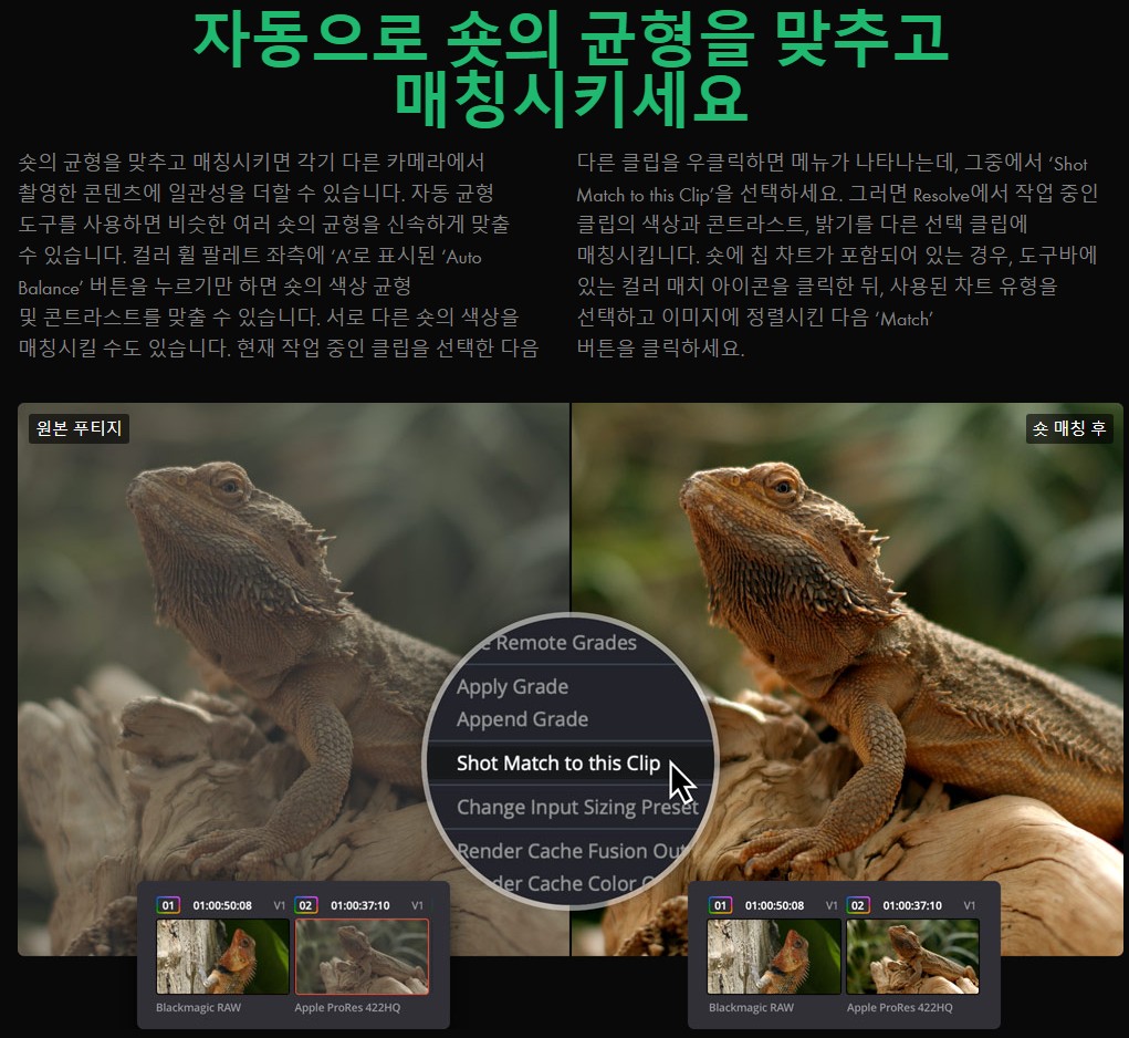 숏 매칭 기능으로 촬영 장면 간 색상과 대비 일치 시킨 비교 이미지