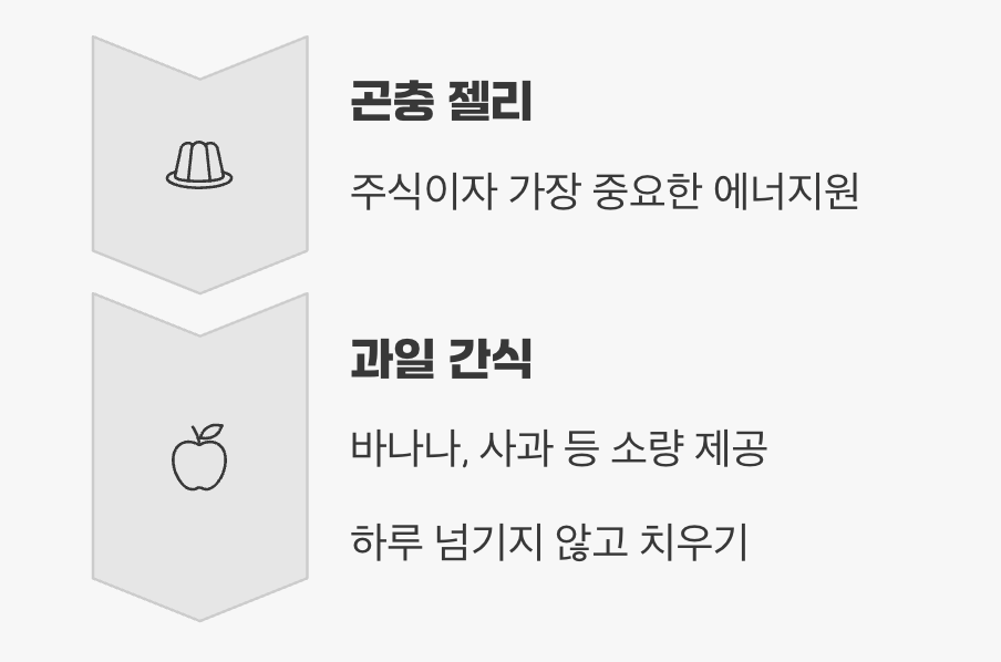 장군님을 위한 특식, '먹이'는 어떻게 줄까?