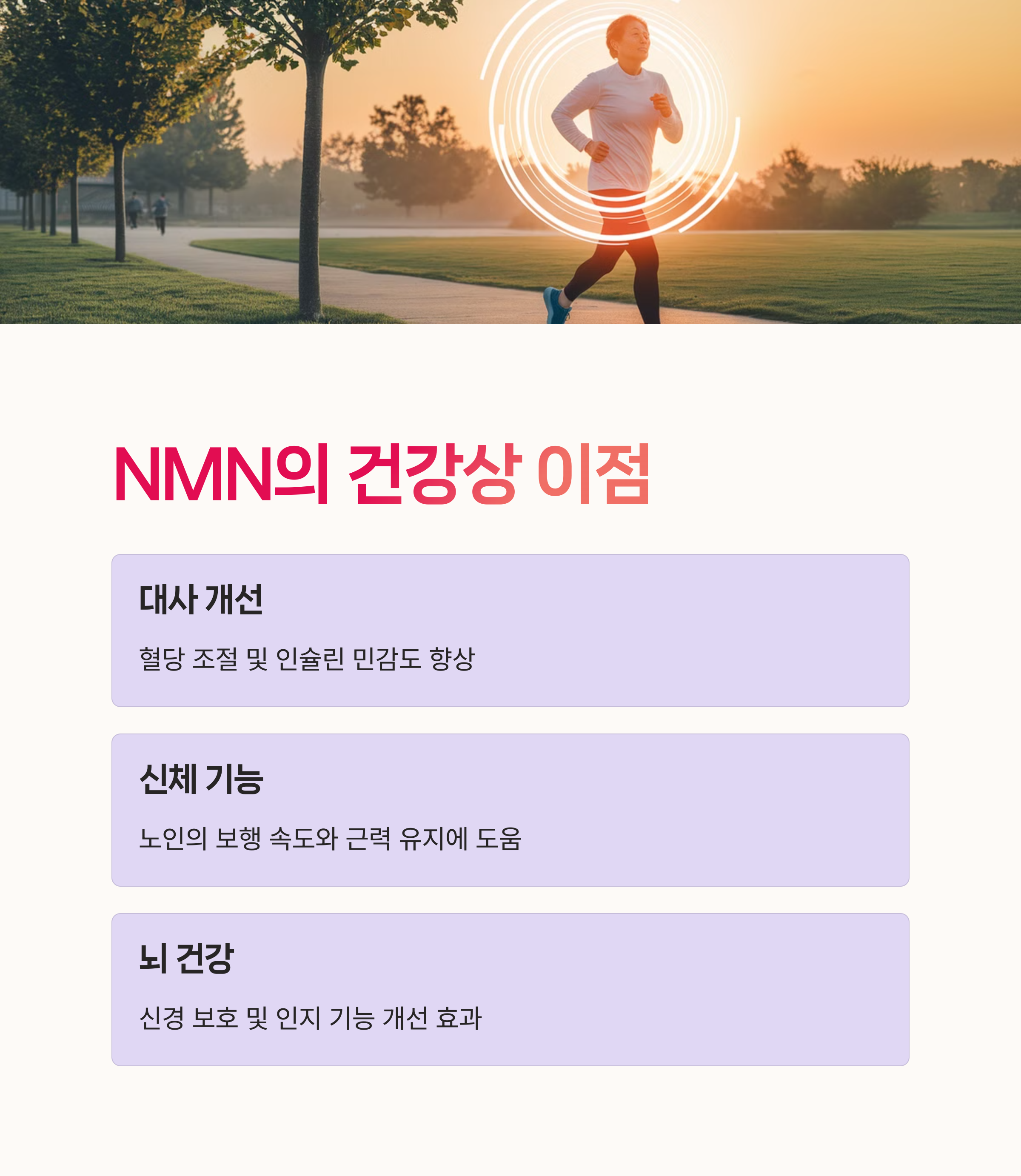 NAD플러스, 피로회복,