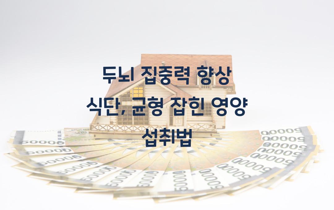 두뇌 집중력 향상 식단: 영양 균형 잡힌 식사 준비