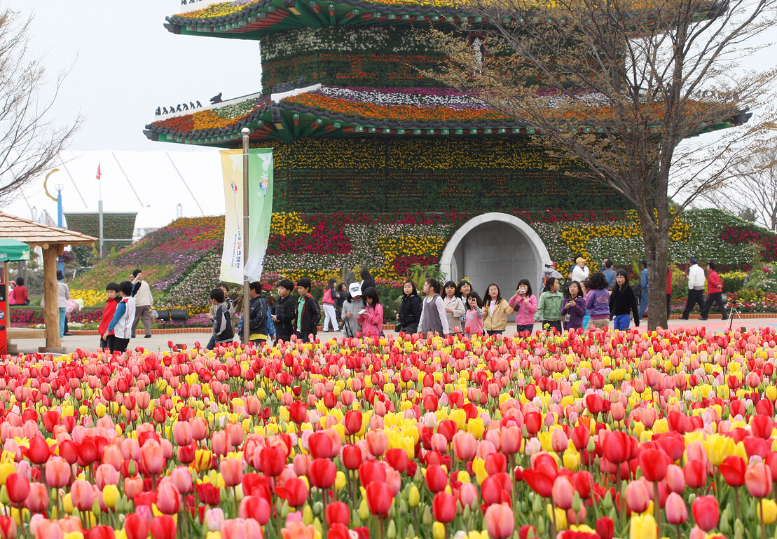 2026 태안국제원예치유박람회 일정 입장료 할인 예매 프로그램 사전예약 방법