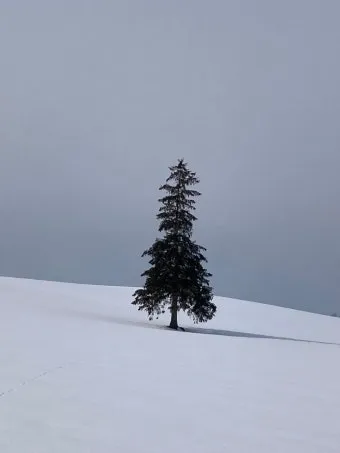 일본 삿포로 위치 지도와 여행 팁으로 소개_5