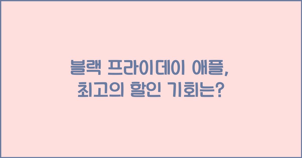 블랙 프라이데이 애플