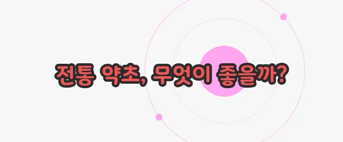 쑥 효능 지금부터 들여다보죠