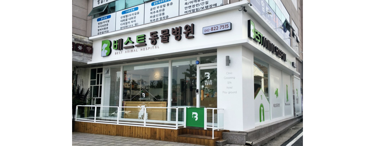 대전 유성구 동물병원