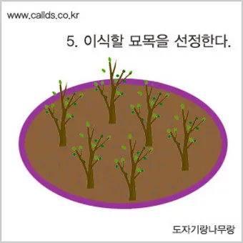 씨앗 저장법 건조 저온 밀봉 발아율 유지 교체 주기_26