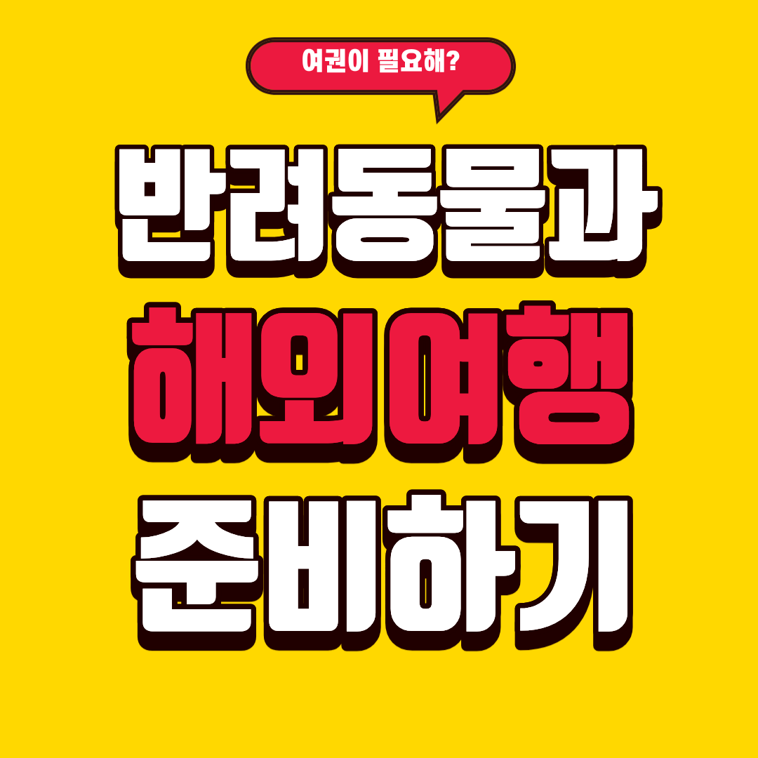 반려동물과의 해외여행 준비 가이드