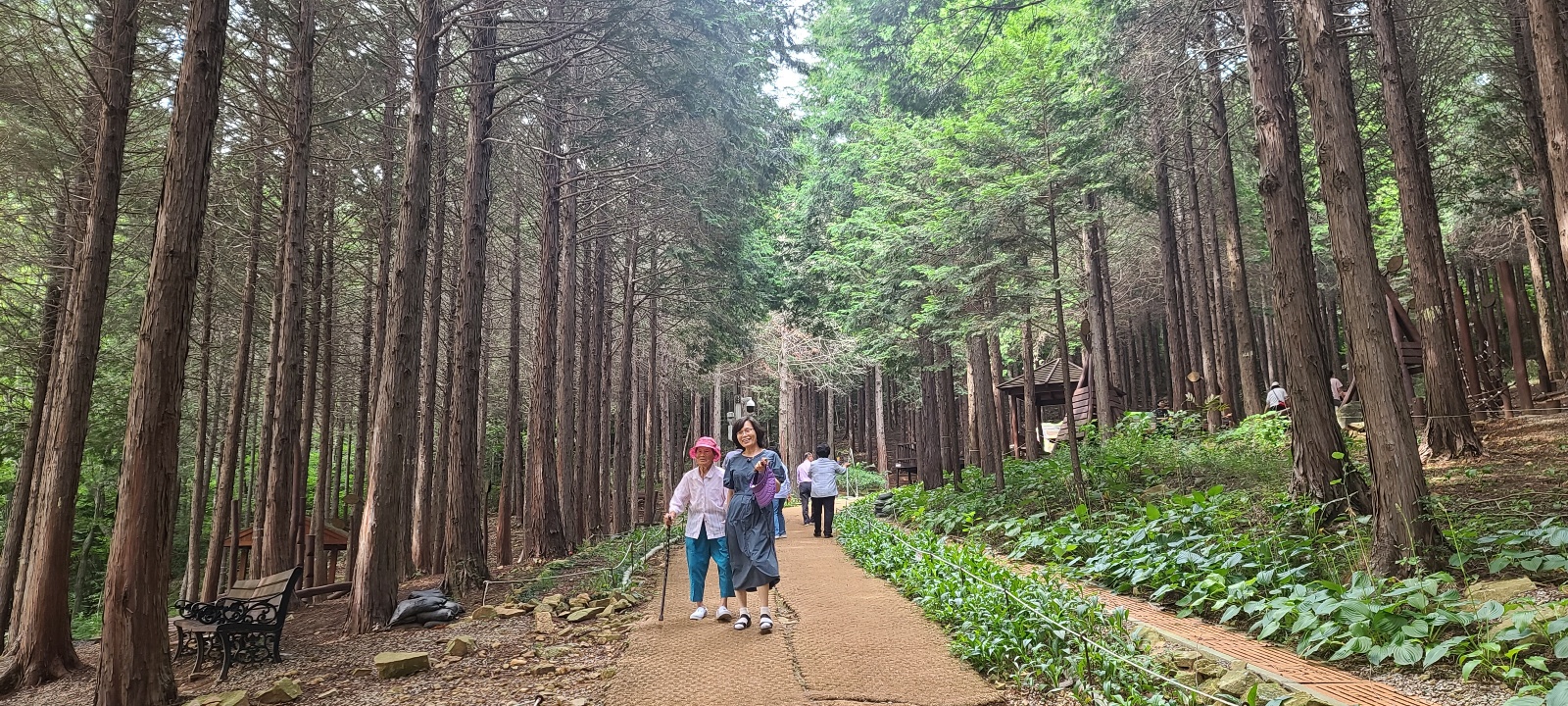 고흥-편백-치유의-숲-1
