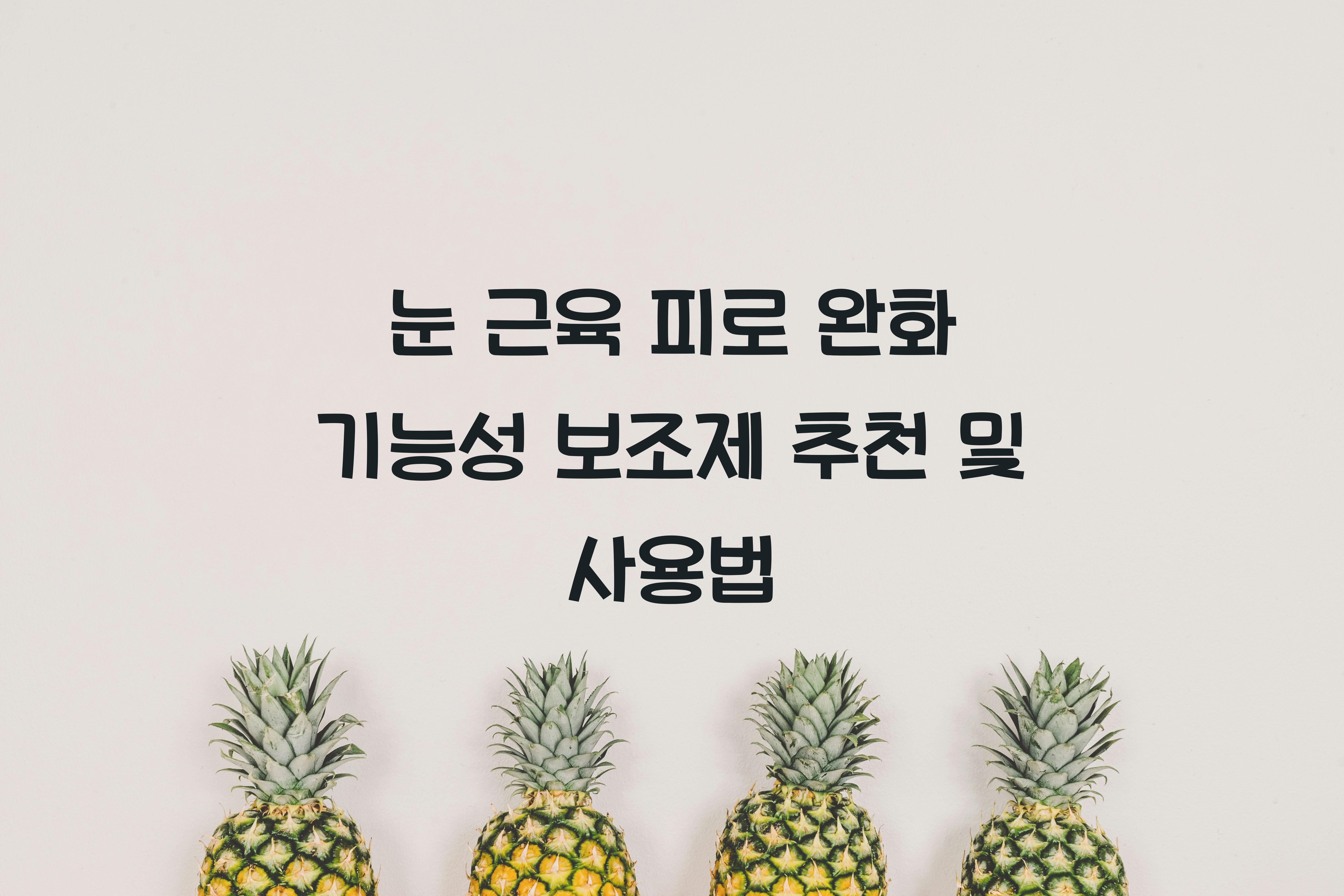 눈 근육 피로 완화 기능성 보조제