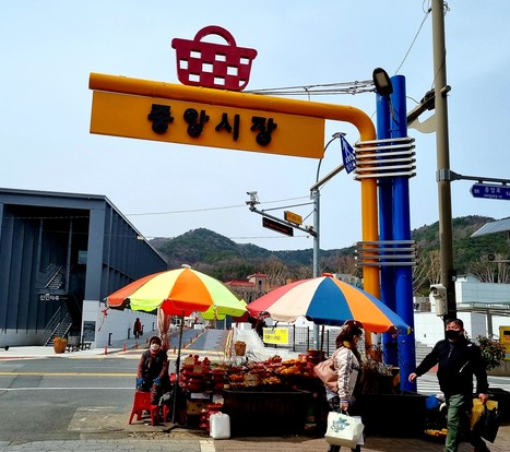 6월 여행지