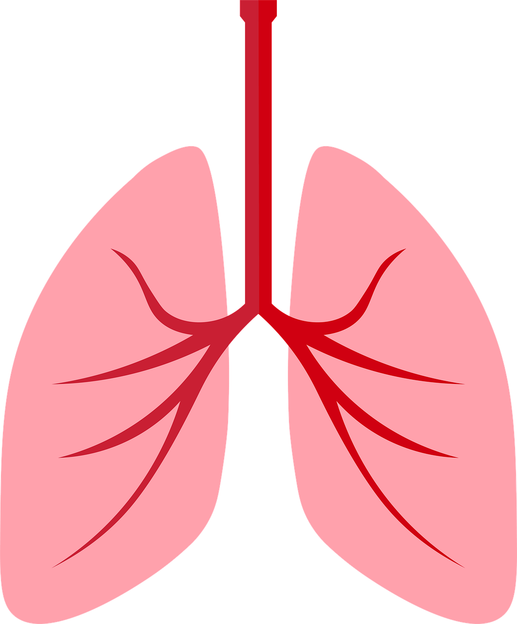 폐에 좋은 영양제