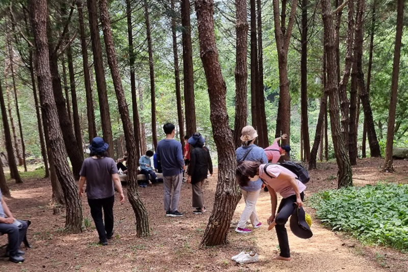 장흥 하늘빛수목정원 튤립축제