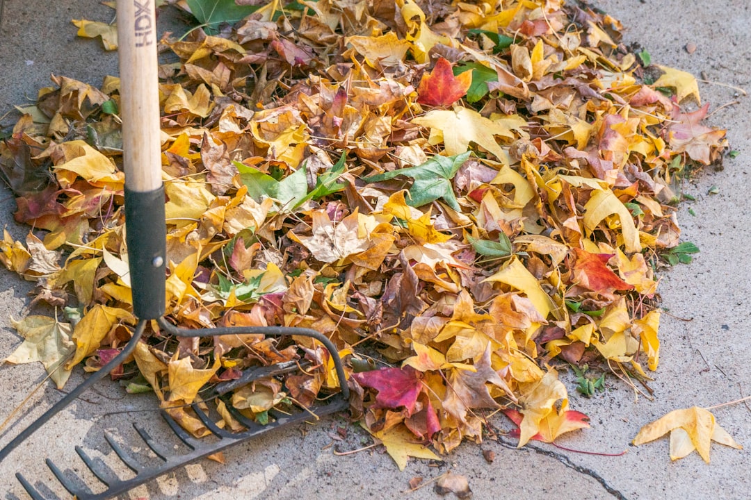 Food waste disposer