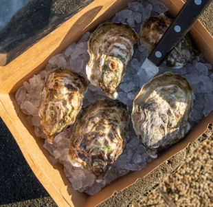 굴 효능 부작용 칼로리