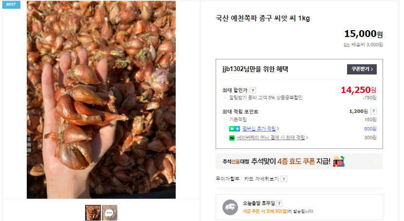 쪽파 심는 시기 및 쪽파 김치 맛있게 담그는 법 (+ 요리 쪽파 무침 종구 판매)