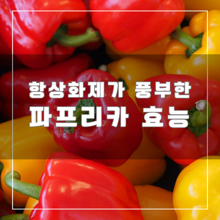 파프리카 효능
