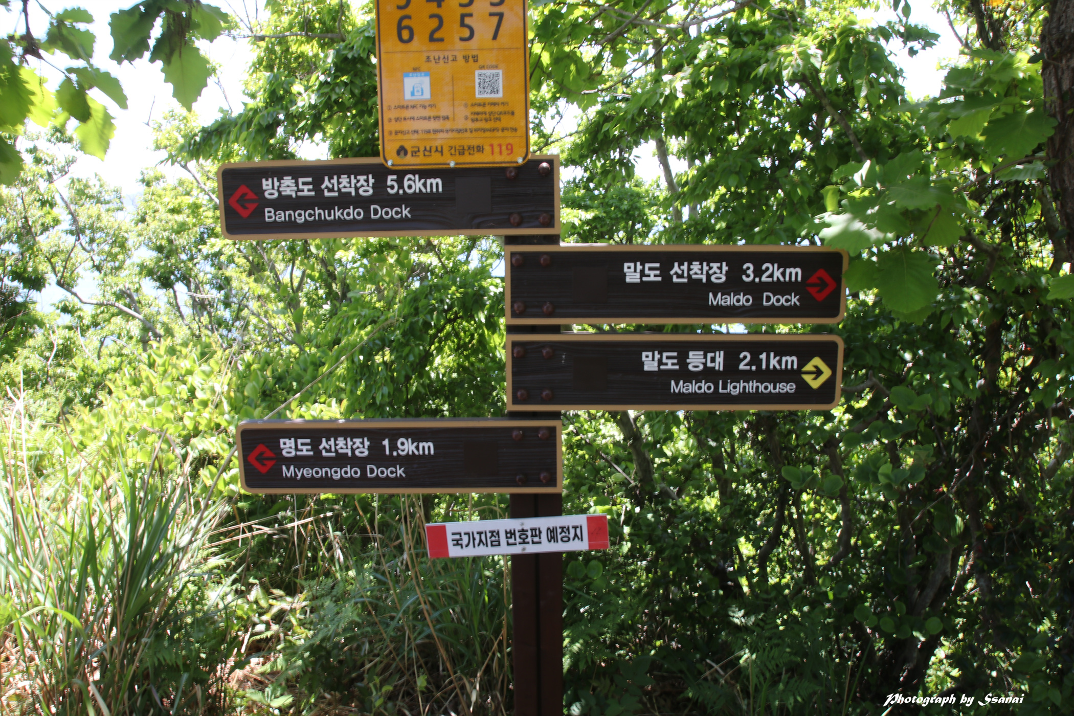 보농도 정상