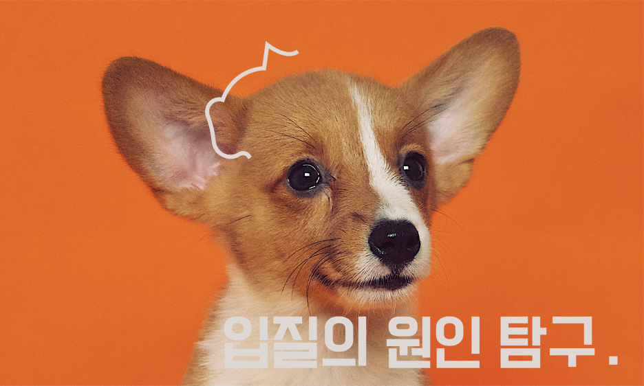 강아지 입질