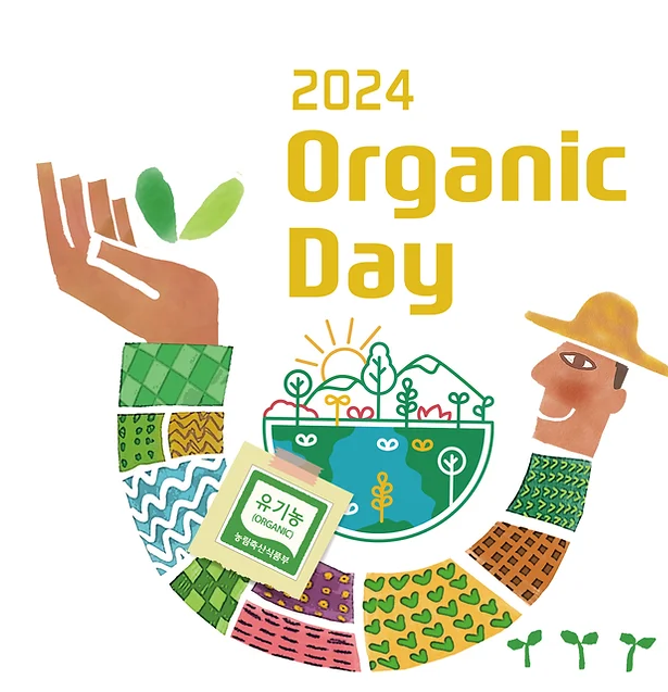 유기농데이 농부마켓 즉흥채소클럽 장바구니 업사이클링