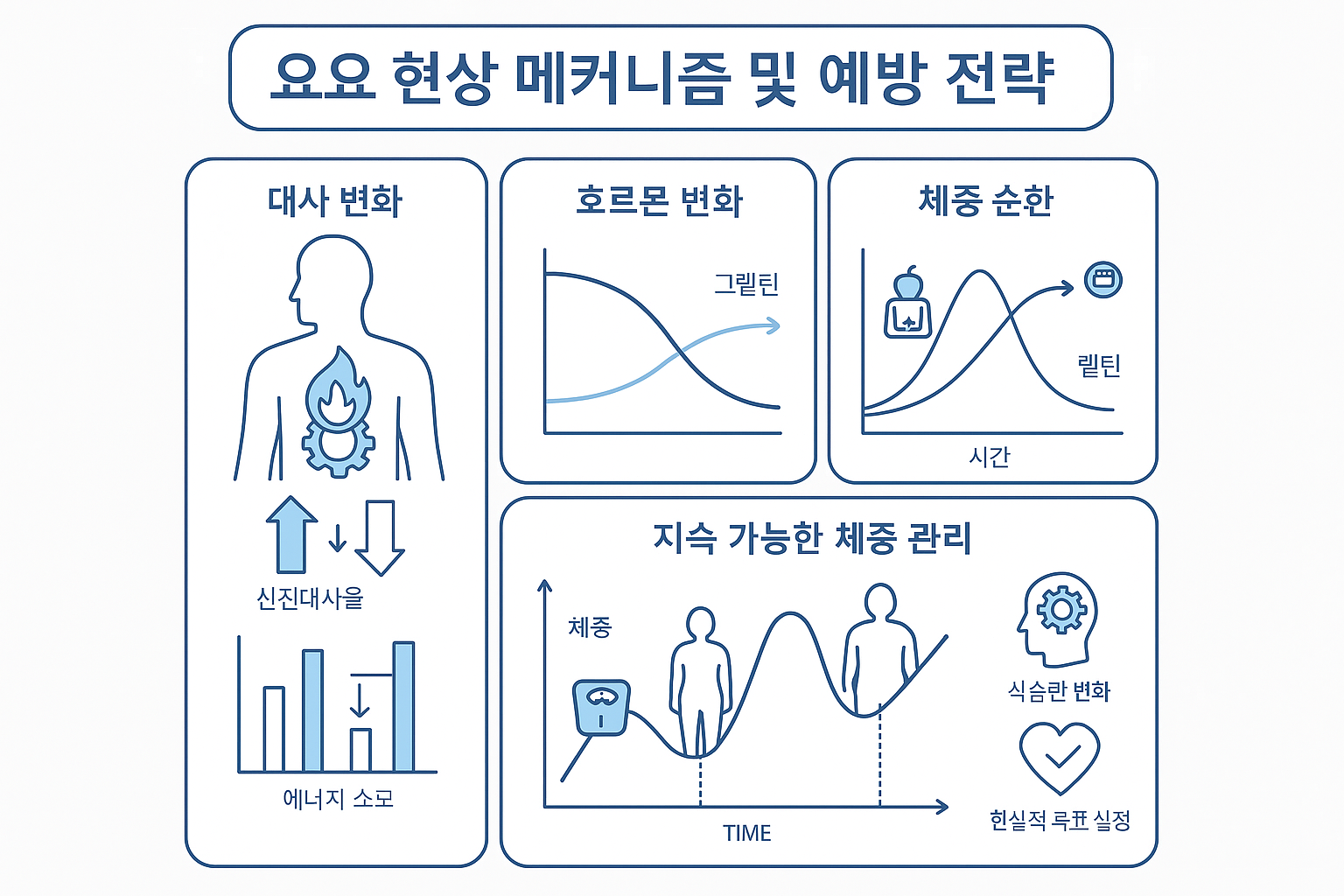 🔄 요요현상 없는 다이어트 비법 - 평생 유지 가능한 방법 ❘ 의사가 밝힌 요요 방지 완전 가이드