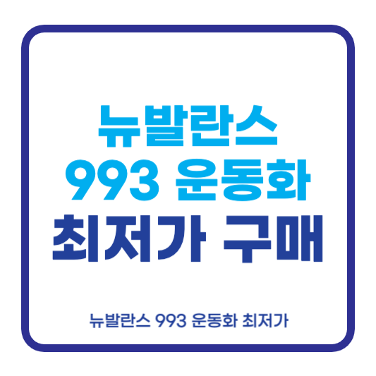 뉴발란스 993