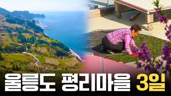 울릉도 배편 시간표 요금 예약 독도_8