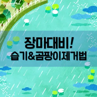 장마 시작 강수량 비 예보 배수구 점검 누수 예방 팁_10