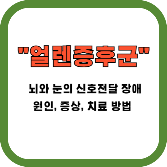 얼렌증후군, 뇌와 눈의 신호전달 장애, 원인, 증상, 치료 방법 알아보기