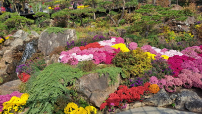 단풍명소_화담숲_하경정원